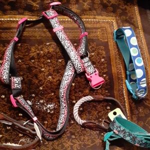Dog Collars & Harnesses